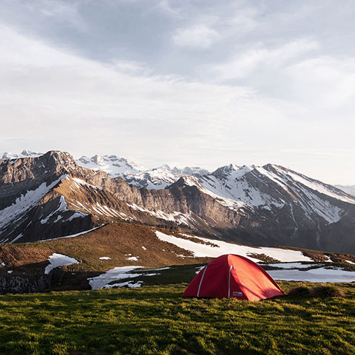 camping in forest